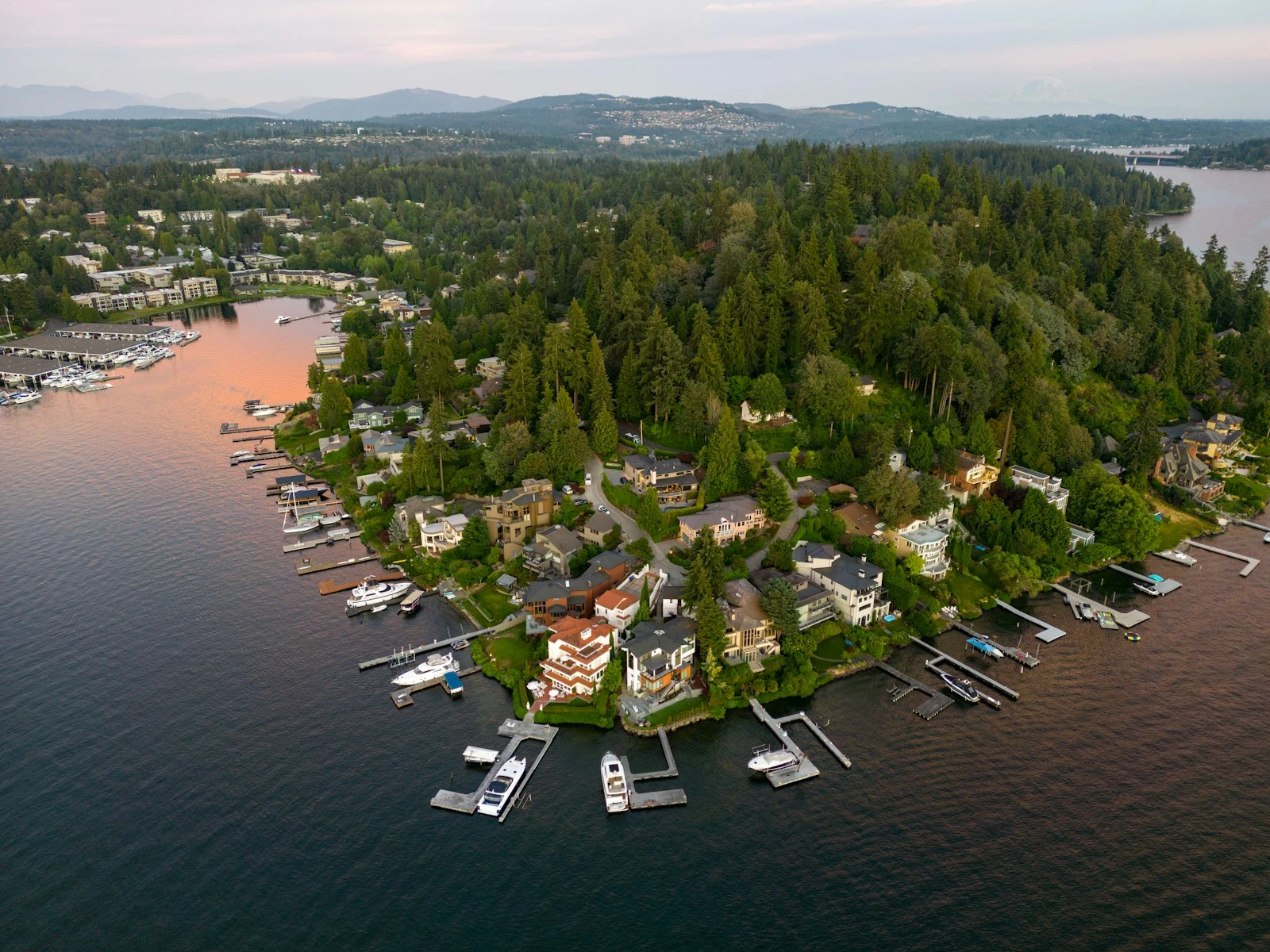 Aerial view of waterfront residences among trees