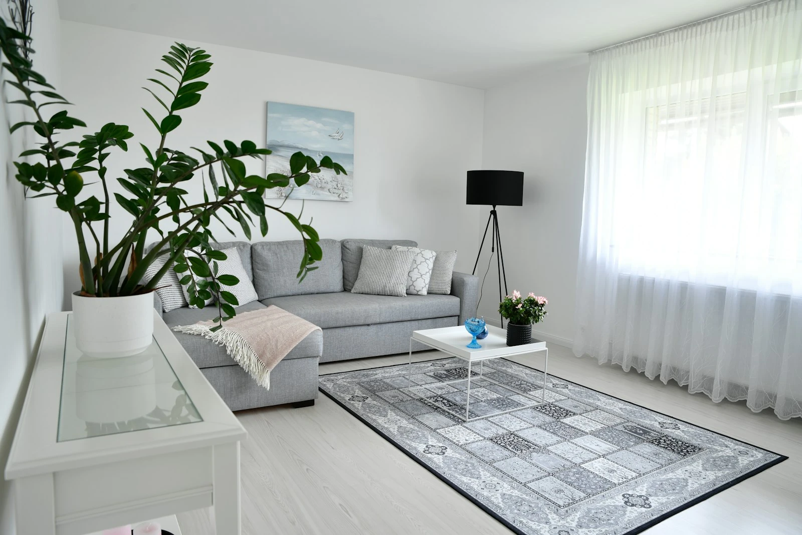 Light filled living room with plants and a patterned rug