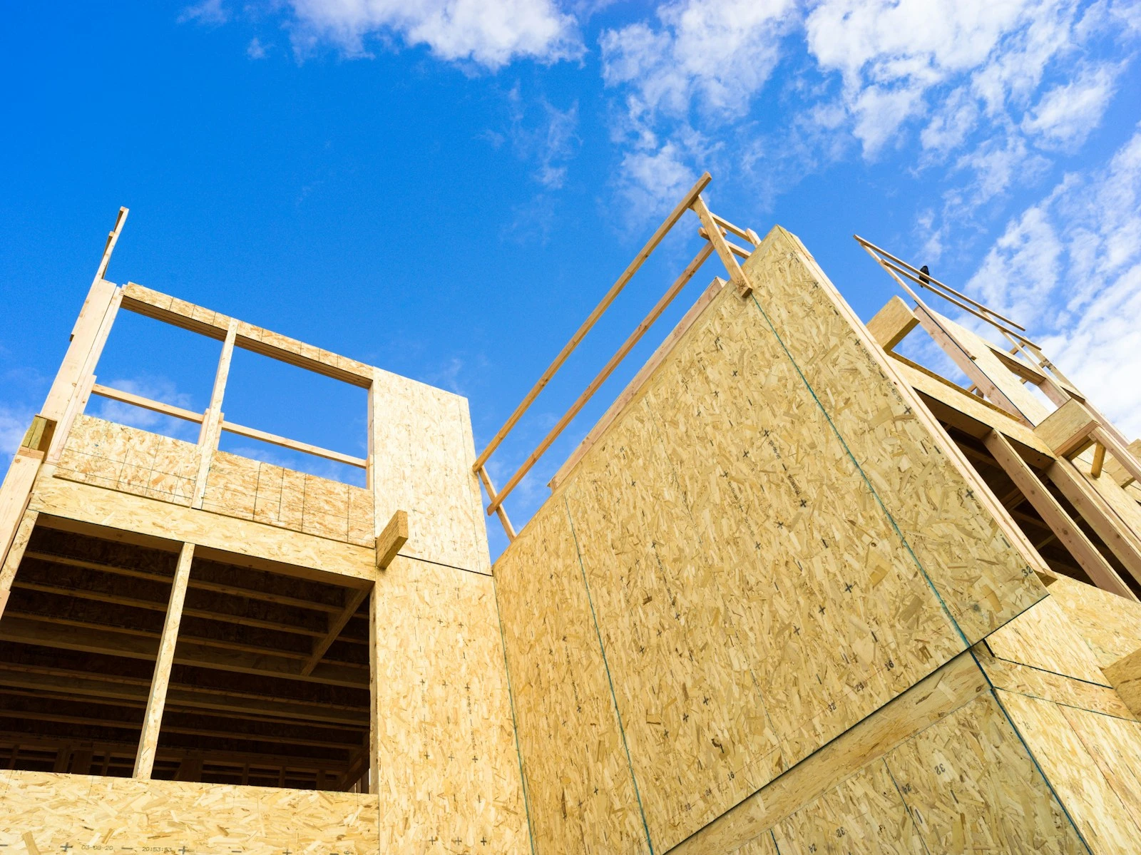 Timber framing of a new home against open sky